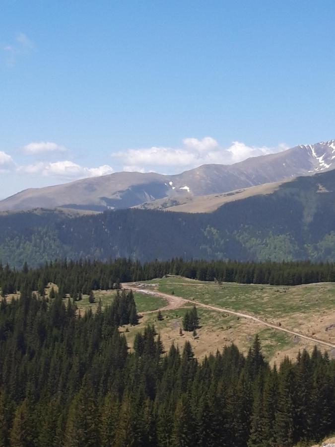 Hotel Piatra Rancii Rânca Zewnętrze zdjęcie