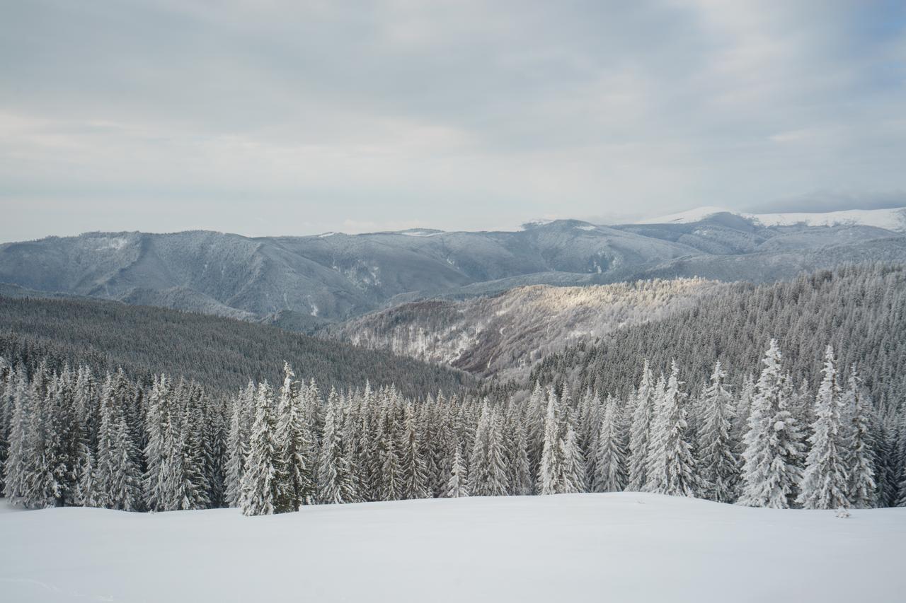 Hotel Piatra Rancii Rânca Zewnętrze zdjęcie